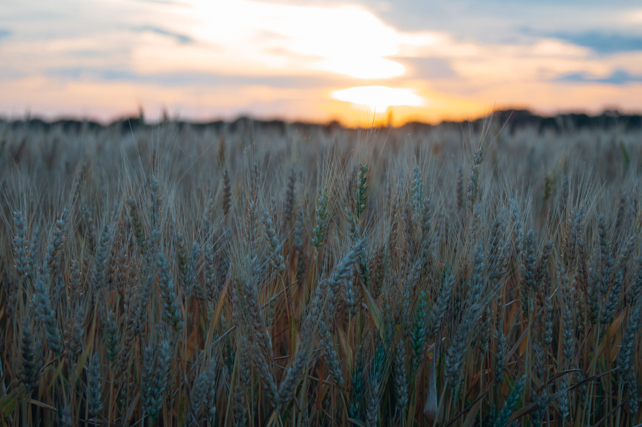 EVENT REGISTRATION AND RANDOM SELECTION PROCESS UNBOUND Gravel